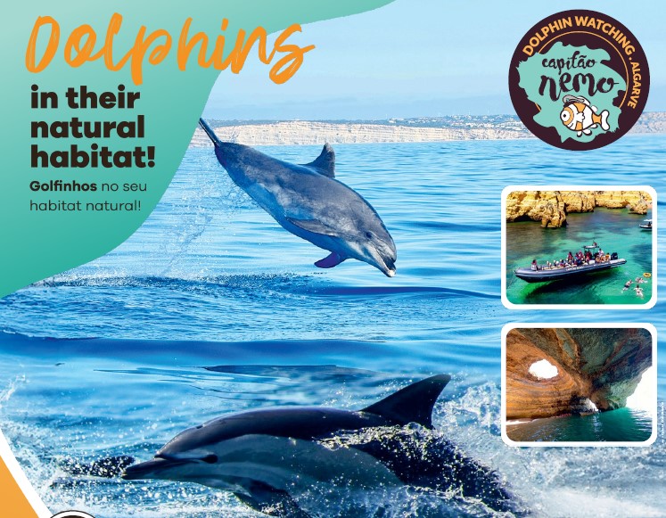 PASSEIOS DE BARCO - GRUTAS E GOLFINHOS E MUITO MAIS!